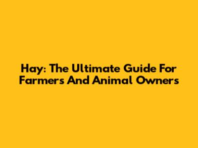 Hay: The Ultimate Guide For Farmers And Animal Owners