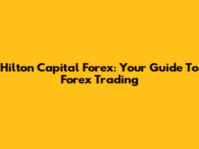 Hilton Capital Forex: Your Guide To Forex Trading