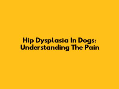Hip Dysplasia In Dogs: Understanding The Pain