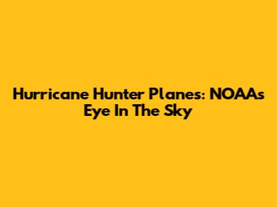 Hurricane Hunter Planes: NOAA's Eye In The Sky