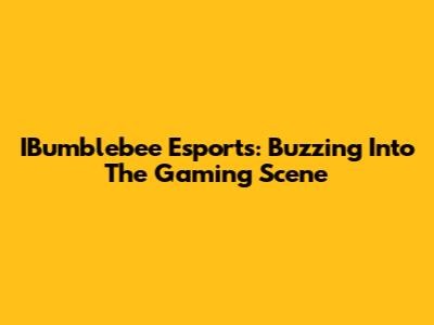 IBumblebee Esports: Buzzing Into The Gaming Scene
