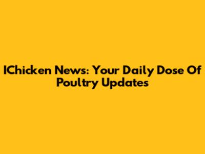 IChicken News: Your Daily Dose Of Poultry Updates