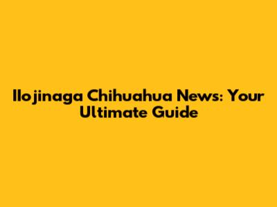 IIojinaga Chihuahua News: Your Ultimate Guide