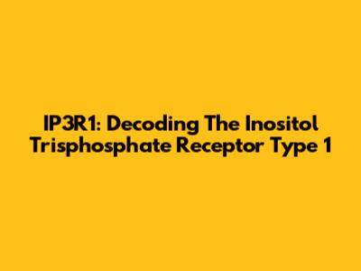 IP3R1: Decoding The Inositol Trisphosphate Receptor Type 1