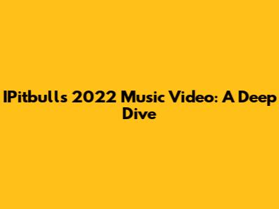 IPitbull's 2022 Music Video: A Deep Dive