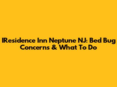 IResidence Inn Neptune NJ: Bed Bug Concerns & What To Do