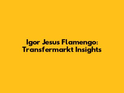 Igor Jesus Flamengo: Transfermarkt Insights