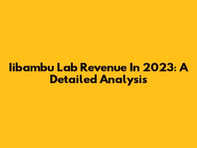 Iibambu Lab Revenue In 2023: A Detailed Analysis