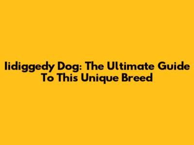 Iidiggedy Dog: The Ultimate Guide To This Unique Breed