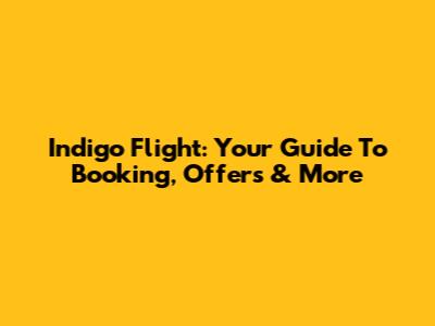 Indigo Flight: Your Guide To Booking, Offers & More