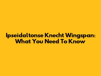 Ipseidaltonse Knecht Wingspan: What You Need To Know