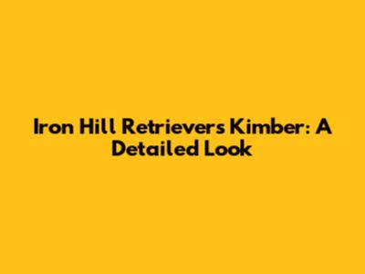 Iron Hill Retrievers Kimber: A Detailed Look