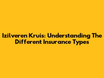 Izilveren Kruis: Understanding The Different Insurance Types