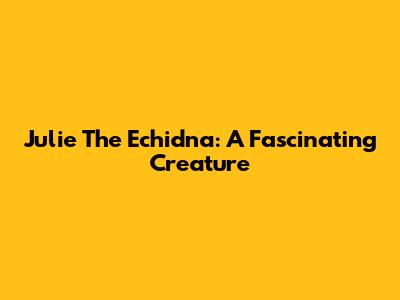 Julie The Echidna: A Fascinating Creature