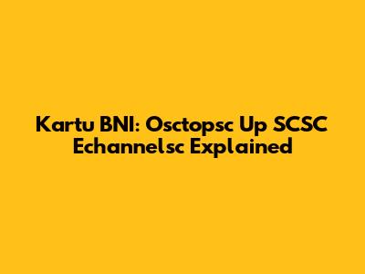 Kartu BNI: Osctopsc Up SCSC Echannelsc Explained