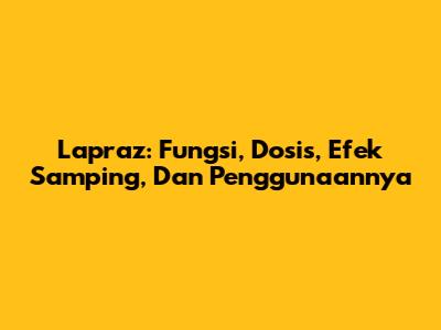 Lapraz: Fungsi, Dosis, Efek Samping, Dan Penggunaannya
