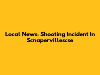 Local News: Shooting Incident In Scnapervillescse