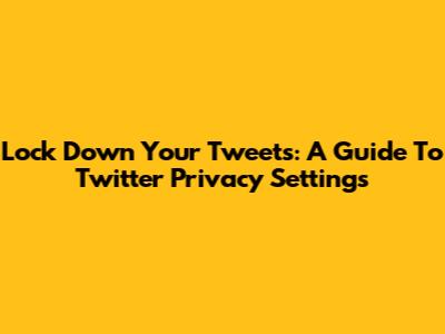 Lock Down Your Tweets: A Guide To Twitter Privacy Settings
