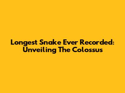 Longest Snake Ever Recorded: Unveiling The Colossus