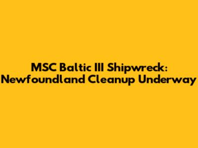 MSC Baltic III Shipwreck: Newfoundland Cleanup Underway