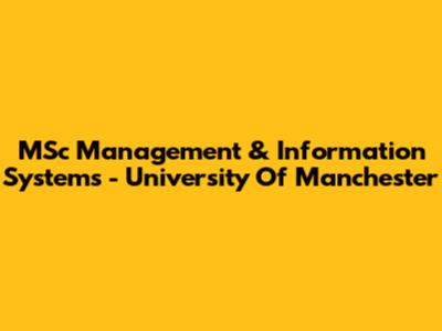 MSc Management & Information Systems - University Of Manchester