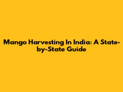 Mango Harvesting In India: A State-by-State Guide