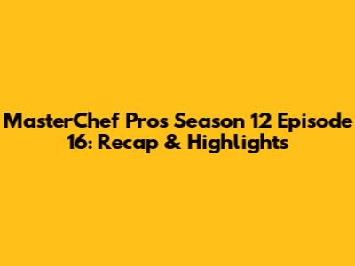 MasterChef Pros Season 12 Episode 16: Recap & Highlights