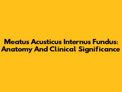 Meatus Acusticus Internus Fundus: Anatomy And Clinical Significance