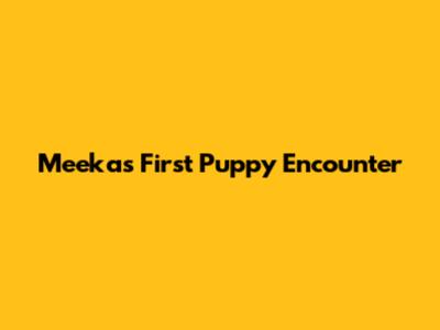 Meeka's First Puppy Encounter