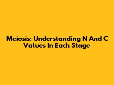 Meiosis: Understanding N And C Values In Each Stage