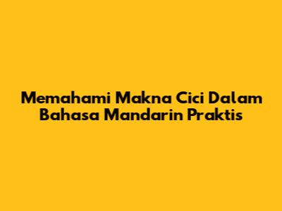 Memahami Makna 'Cici' Dalam Bahasa Mandarin Praktis