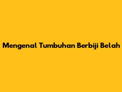 Mengenal Tumbuhan Berbiji Belah