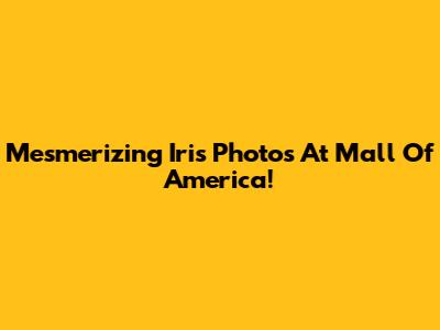 Mesmerizing Iris Photos At Mall Of America!