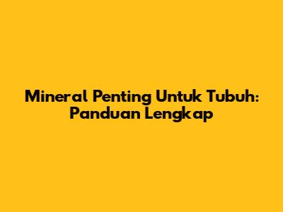 Mineral Penting Untuk Tubuh: Panduan Lengkap