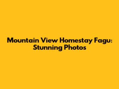 Mountain View Homestay Fagu: Stunning Photos