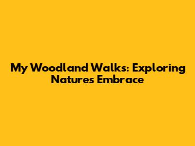 My Woodland Walks: Exploring Nature's Embrace