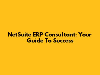 NetSuite ERP Consultant: Your Guide To Success