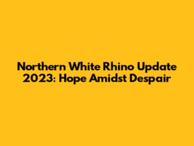 Northern White Rhino Update 2023: Hope Amidst Despair