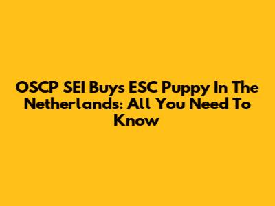 OSCP SEI Buys ESC Puppy In The Netherlands: All You Need To Know