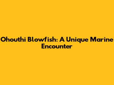 Ohouthi Blowfish: A Unique Marine Encounter