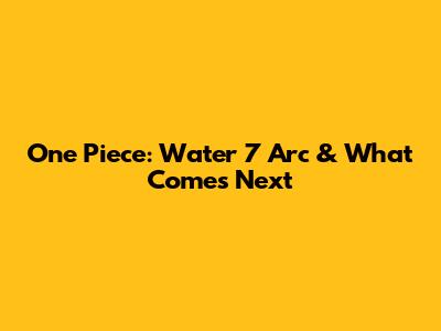 One Piece: Water 7 Arc & What Comes Next