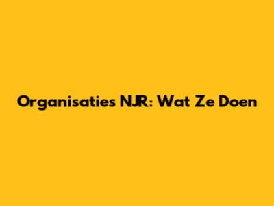 Organisaties NJR: Wat Ze Doen