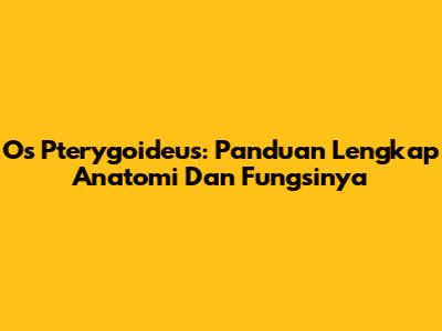 Os Pterygoideus: Panduan Lengkap Anatomi Dan Fungsinya