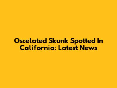 Oscelated Skunk Spotted In California: Latest News