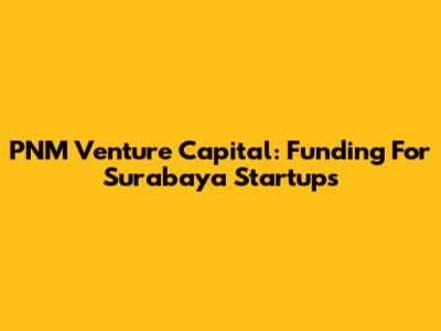 PNM Venture Capital: Funding For Surabaya Startups