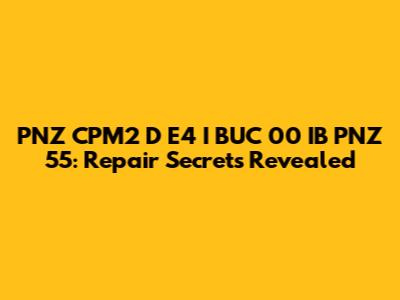 PNZ CPM2 D E4 I BUC 00 IB PNZ 55: Repair Secrets Revealed