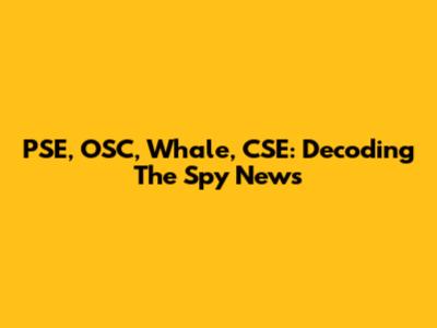 PSE, OSC, Whale, CSE: Decoding The Spy News