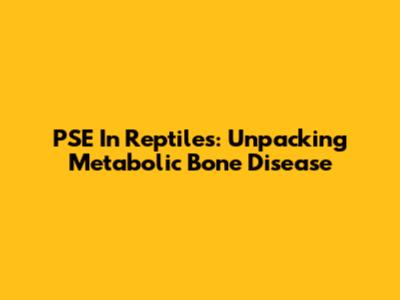 PSE In Reptiles: Unpacking Metabolic Bone Disease