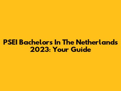 PSEI Bachelor's In The Netherlands 2023: Your Guide