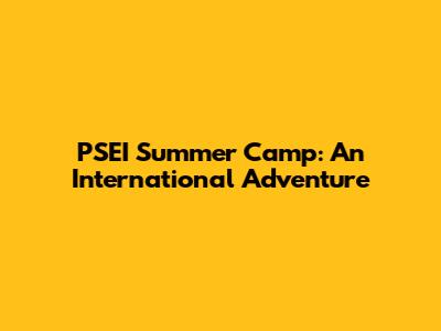 PSEI Summer Camp: An International Adventure